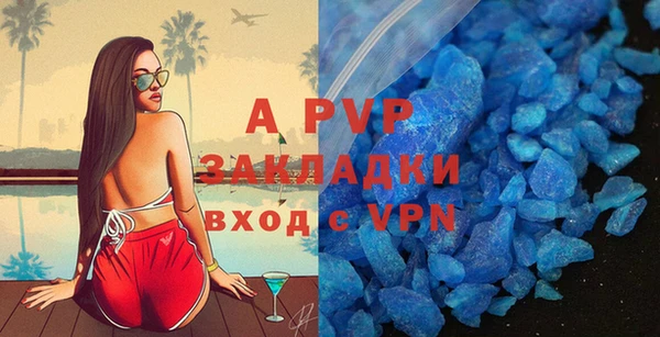 PSILOCYBIN Каменка